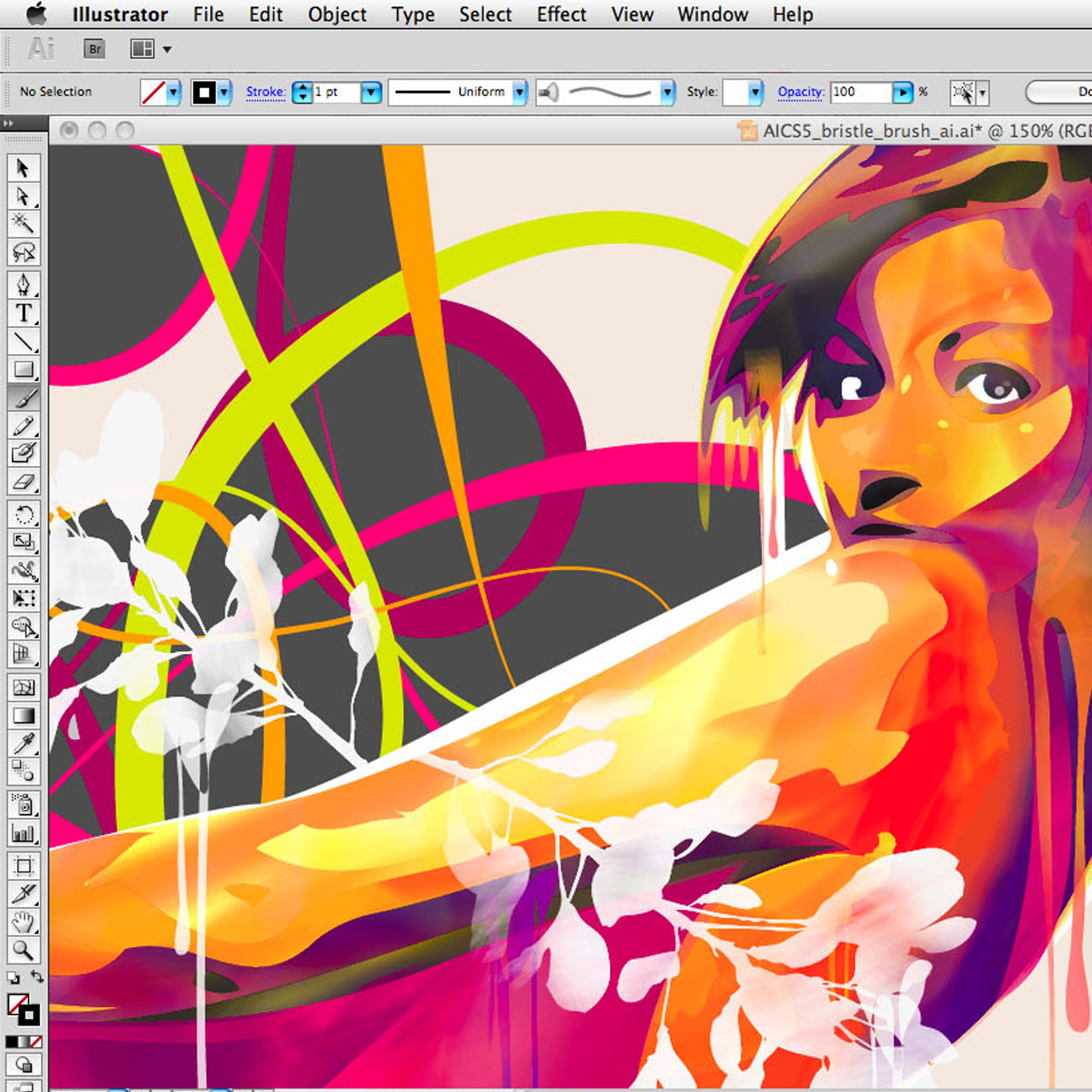 Векторные графические редакторы Adobe Illustrator